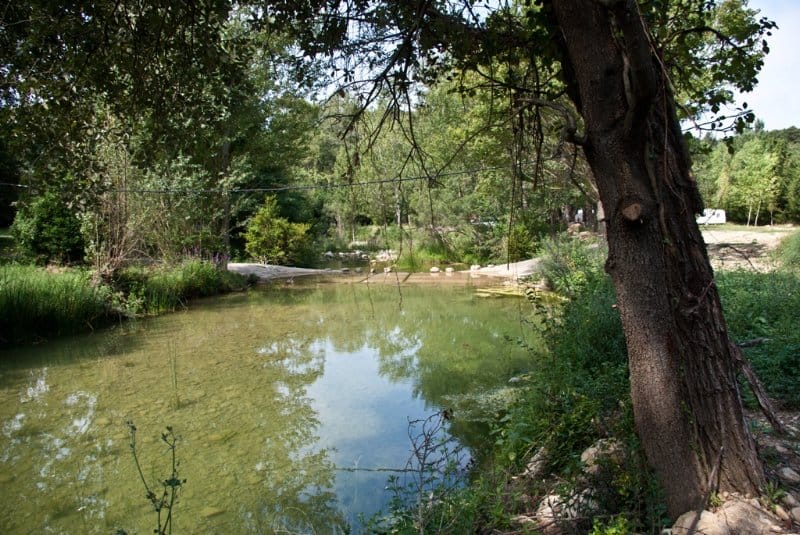 Camping-a-La-Ferme-de-Labau-in-Ladern-sur-Lauquet2 Camping-a-La-Ferme-de-Labau-in-Ladern-sur-Lauquet2