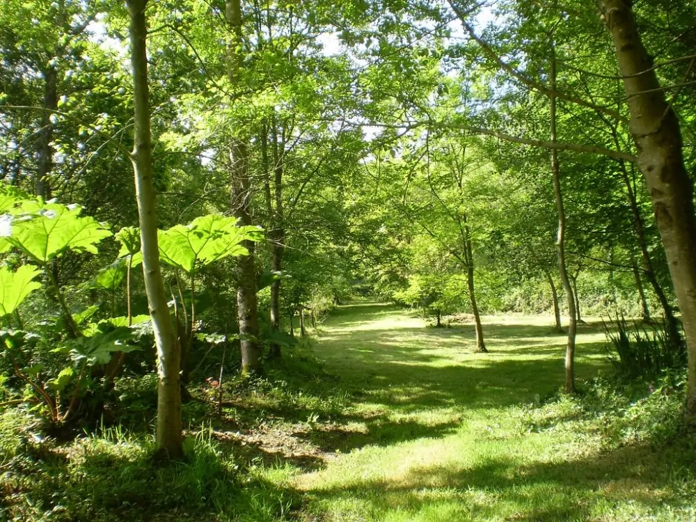 Camping-de-Lanniouarn Camping-de-Lanniouarn