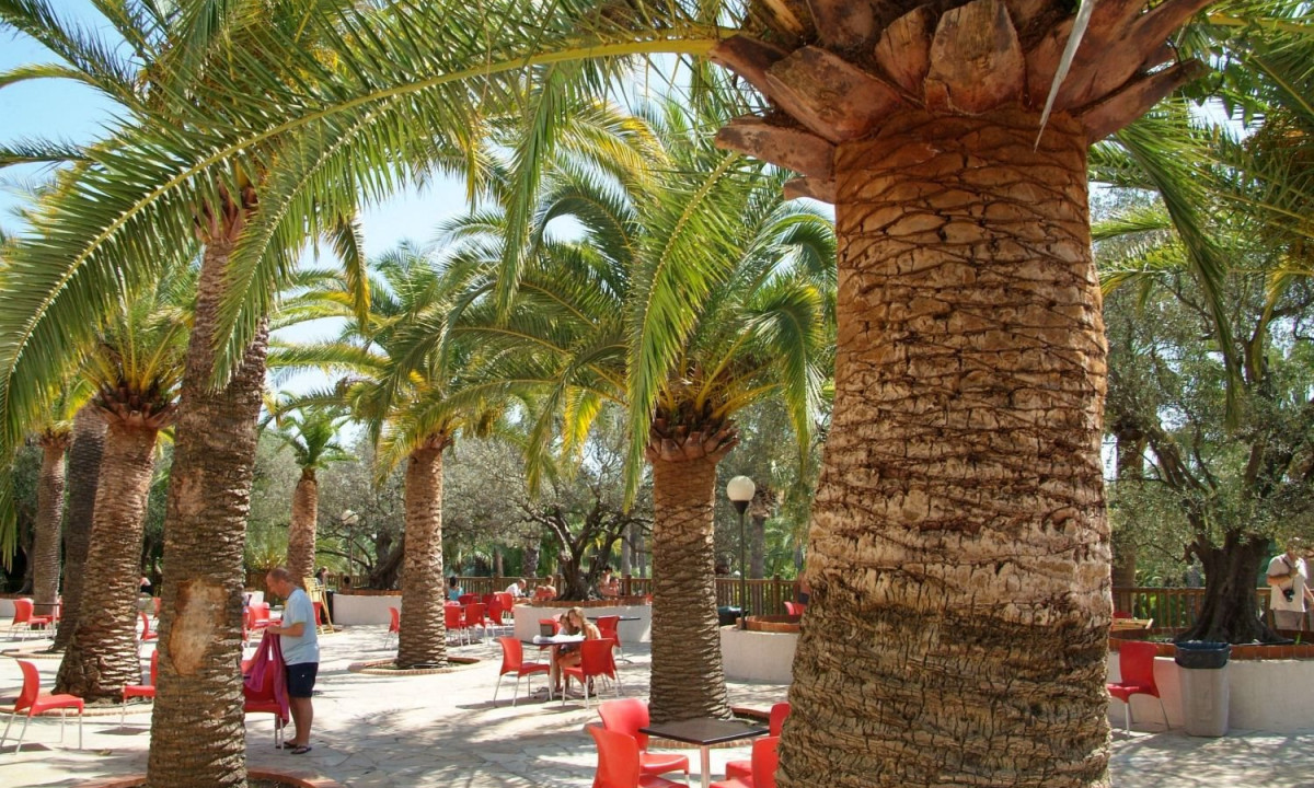Camping-La-Baume-La-Palmeraie-terras Camping-La-Baume-La-Palmeraie-terras