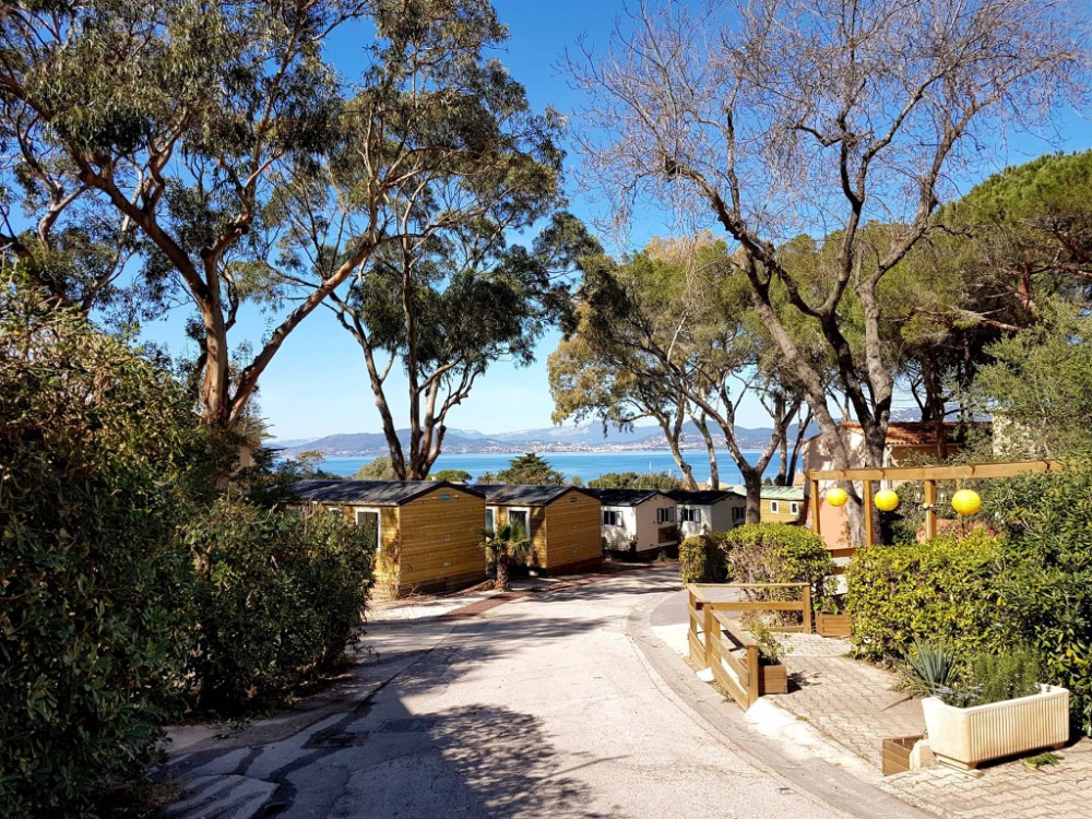 Camping Clair de Lune in Hyères, Provence-Alpes-Côte d'Azur, France photo 4
