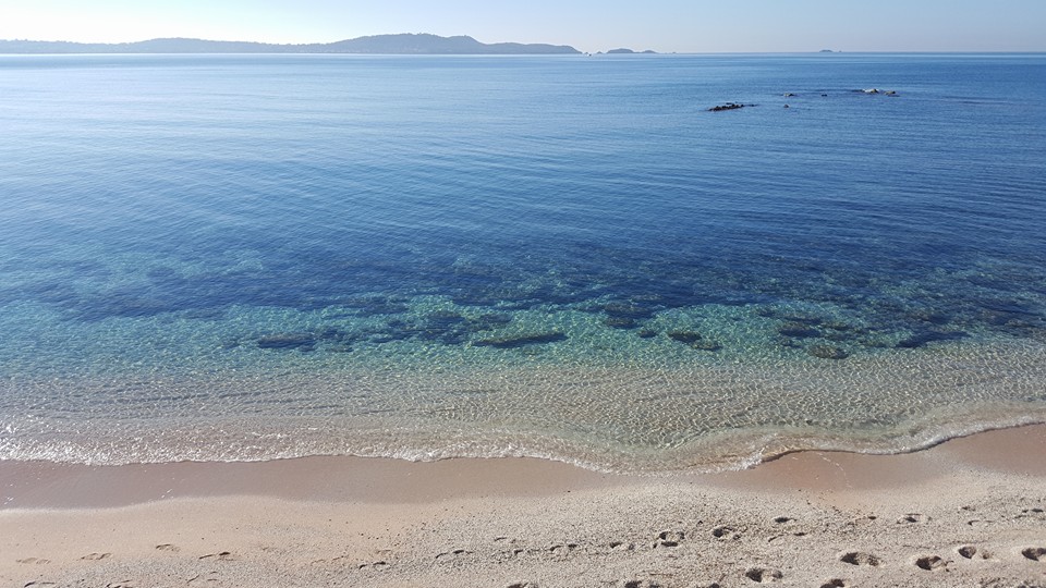 Camping Clair de Lune in Hyères, Provence-Alpes-Côte d'Azur, France photo 5