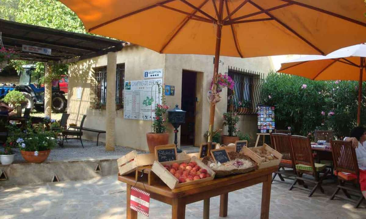 Camping De Berard in La Garde-Freinet, Provence-Alpes-Côte d'Azur, France photo 4