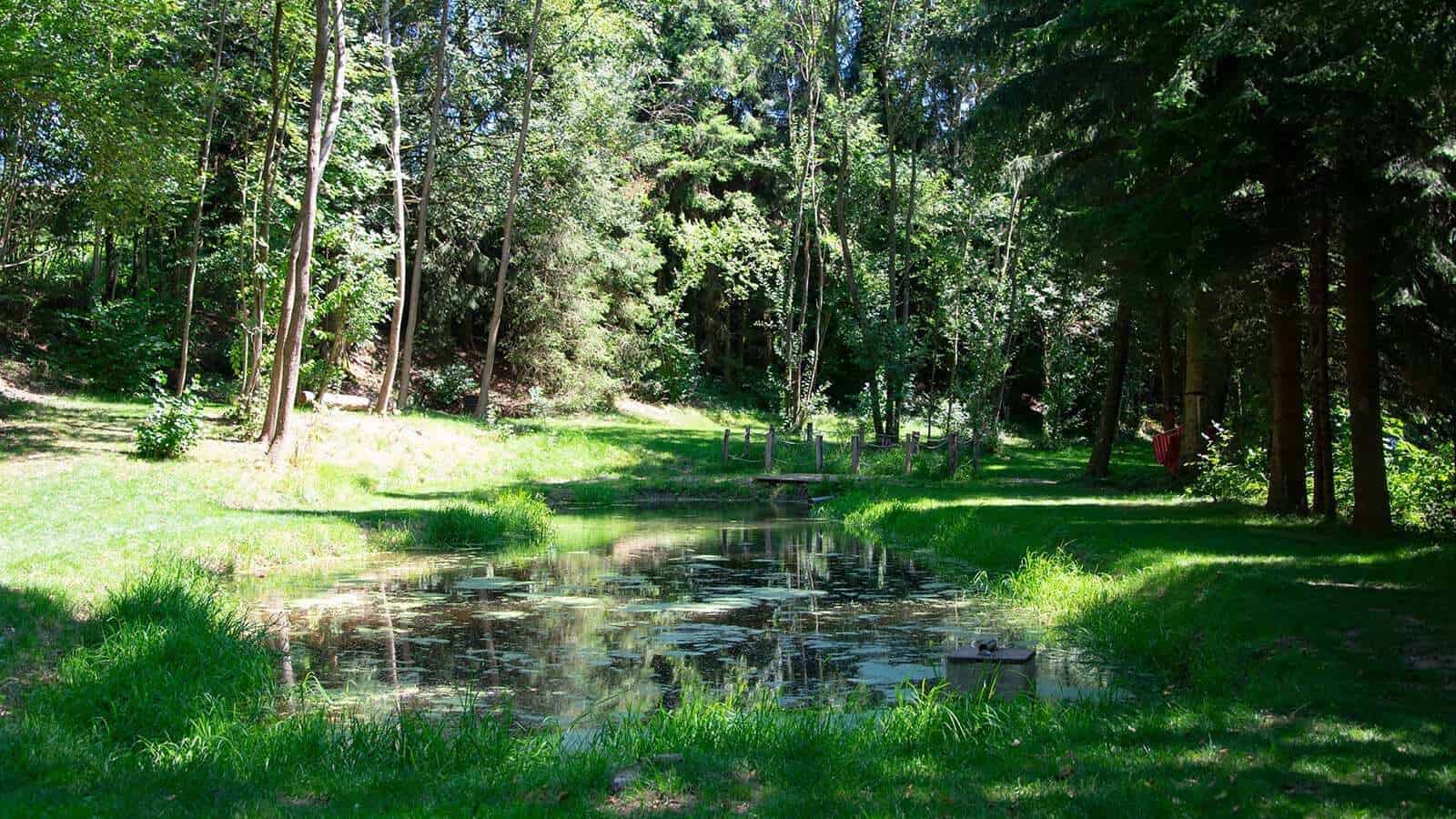 Camping Au Clos de la Chaume in Corcieux, Grand Est, France - Photo 2