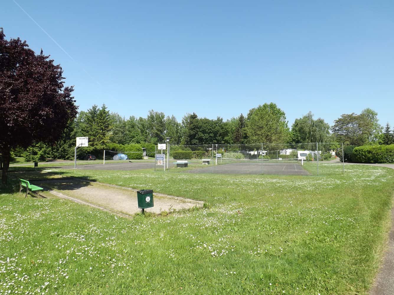 Camping L'Ile du Rhin in Biesheim photo 5