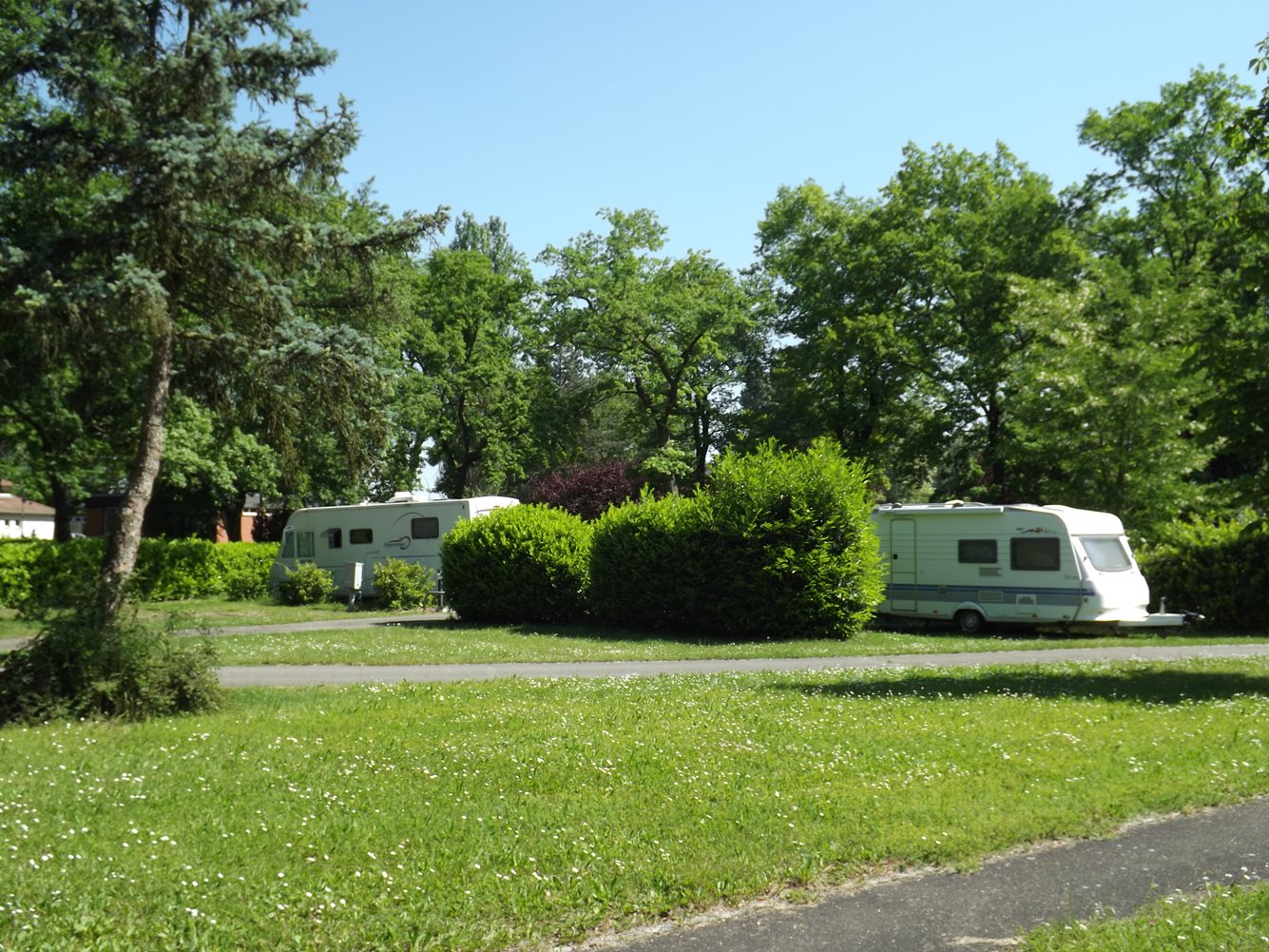 Camping L'Ile du Rhin in Biesheim photo 3