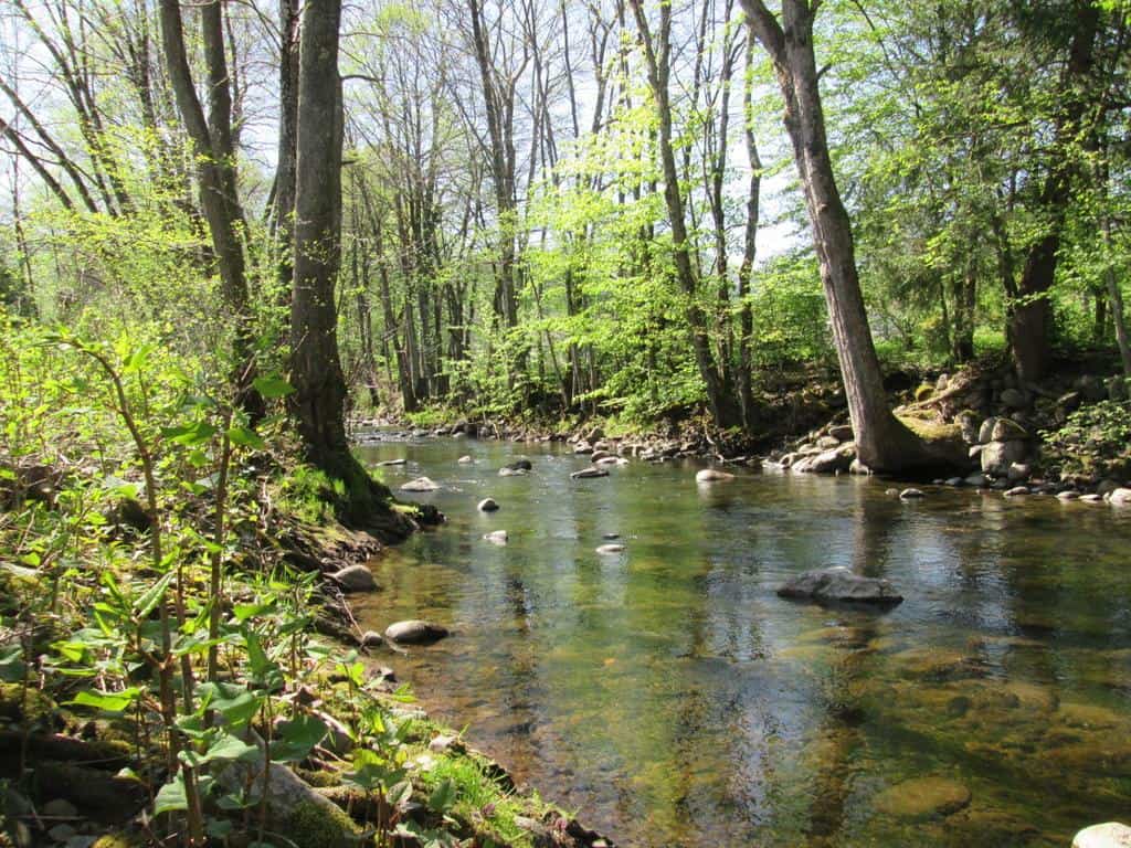 Camping de Masevaux in Masevaux photo 5