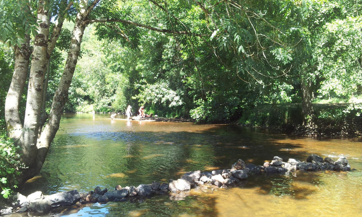 Camping Les Gorges du Chambon in Eymouthiers photo 5