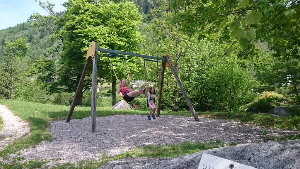 Camping Le Haut des Bluches in La Bresse photo 3