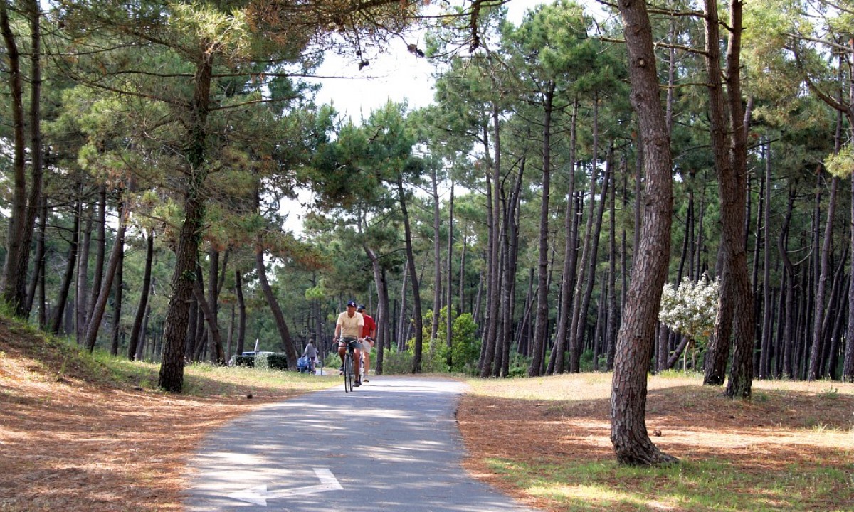 Atlantique Parc campsite in Les Mathes, Nouvelle-Aquitaine, France - Photo 2