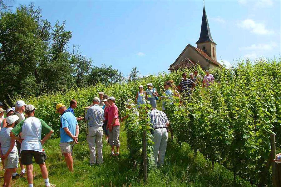 Camping Chateau de Montrouant in Gibles photo 3