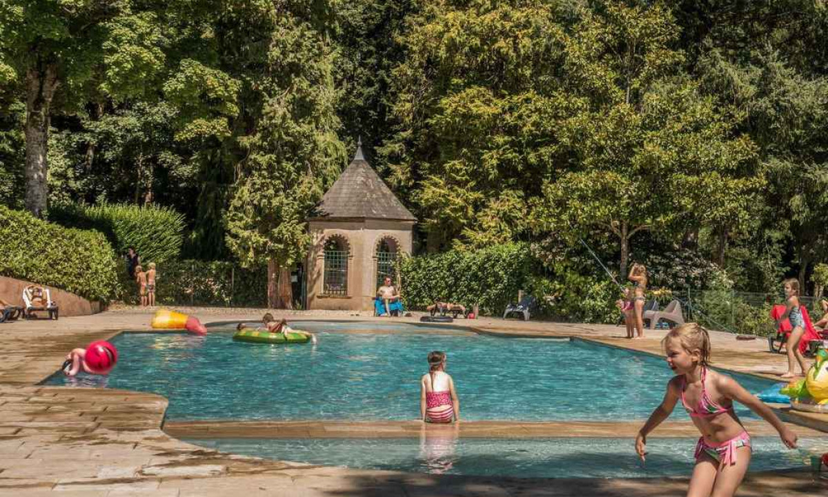 Camping Chateau de Montrouant in Gibles photo 2