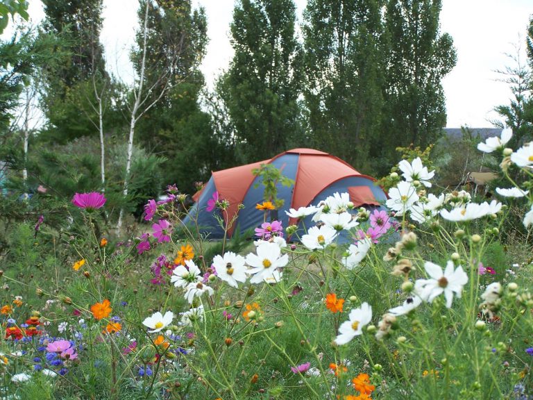 Camping Ferme de Prunay staanplaats 768x576