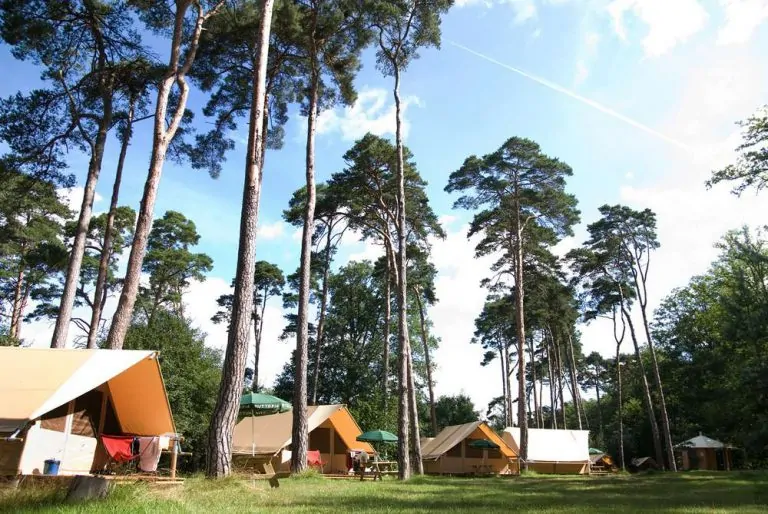 Camping Huttopia Rambouillet  768x514