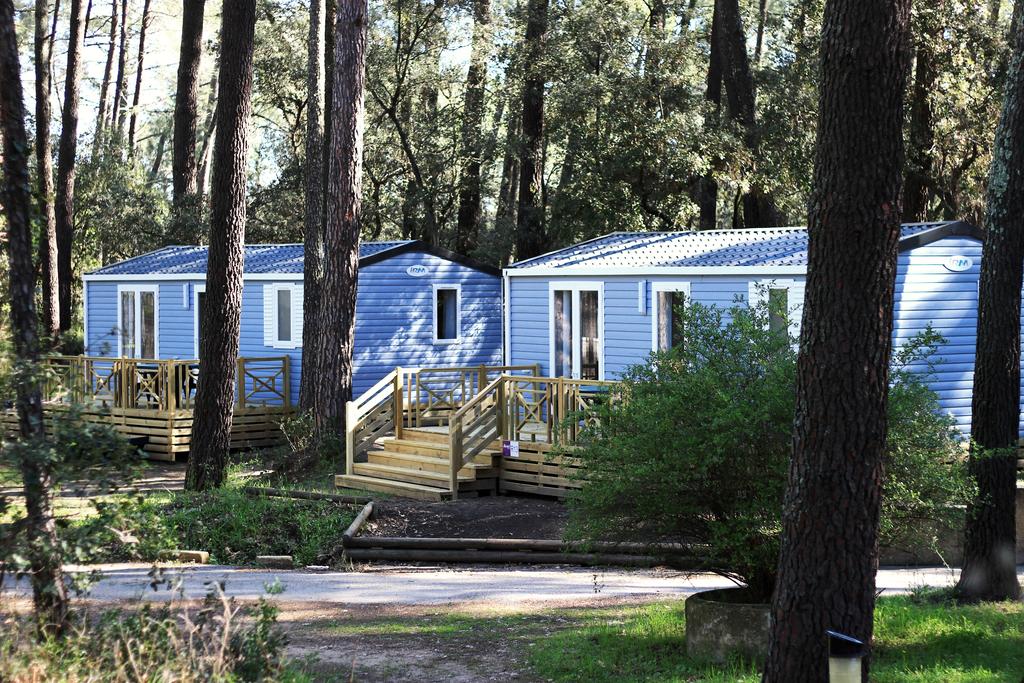 Camping la Sousta in Remoulins, Occitania, France - Photo 3