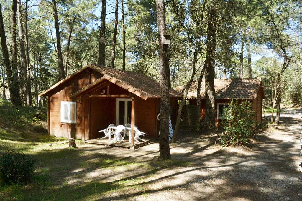 Camping la Sousta in Remoulins, Occitania, France photo 5