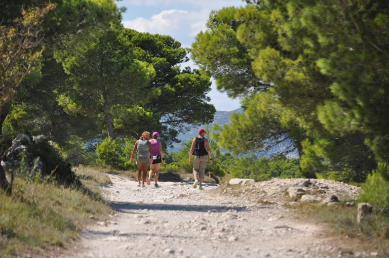 Camping Le Fun wandelen 768x510