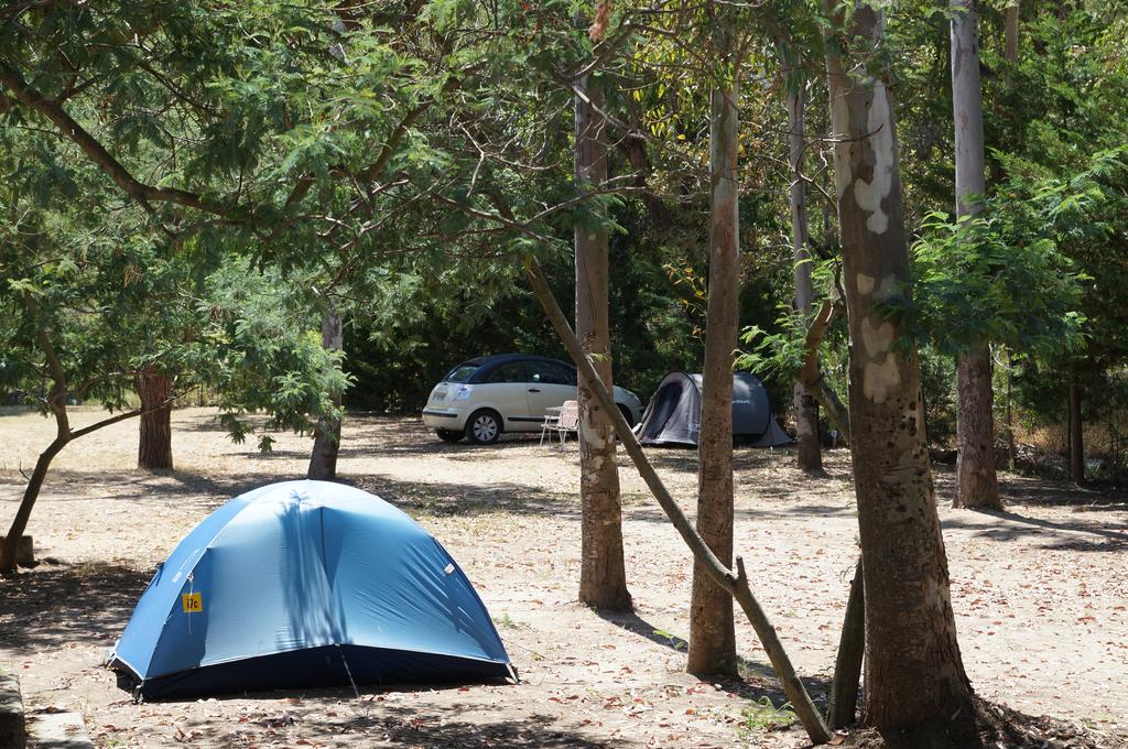 Camping International in Calvi, Corsica, France - Photo 3
