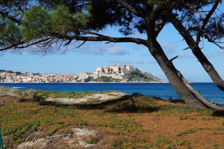 Camping Les Castors in Calvi op Corsica Calvi 768x510