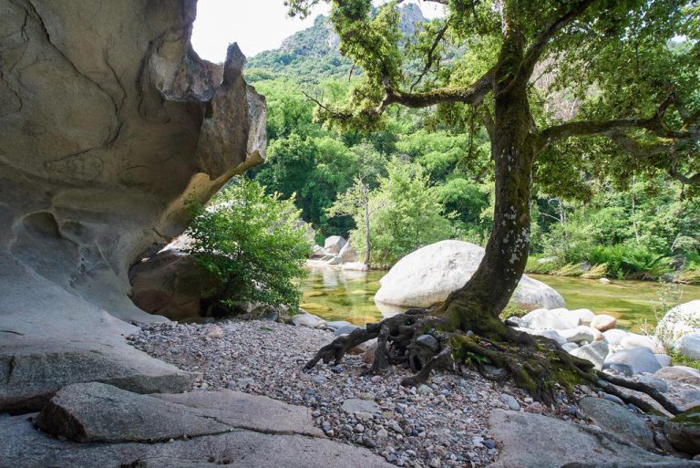 Camping Les Oliviers in Ota op Corsica wandelen 768x513