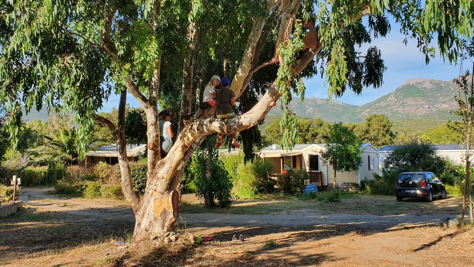 Camping U sole Marinu in Patrimonio, Corsica, France - Photo 3