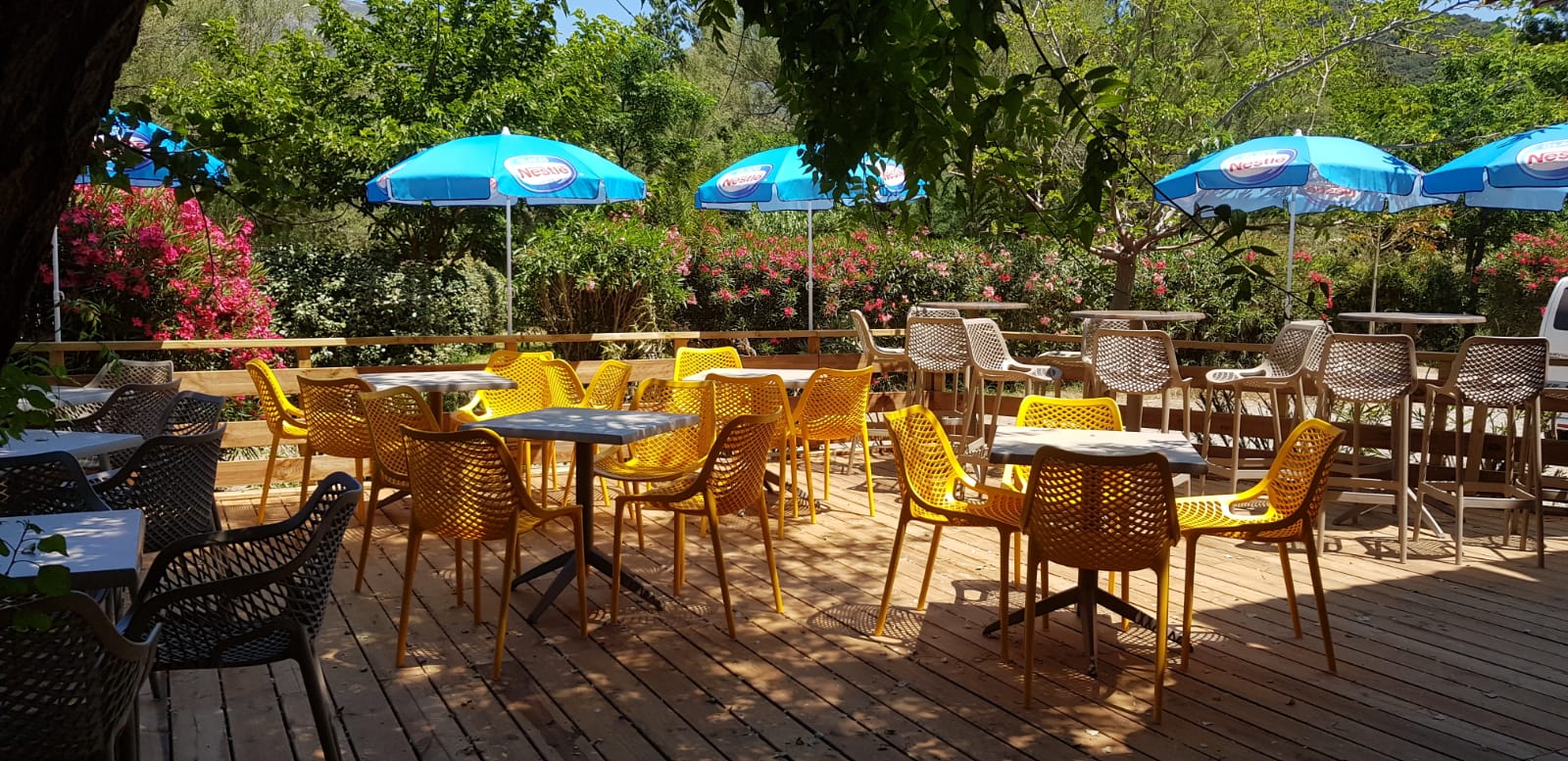 Camping U sole Marinu in Patrimonio, Corsica, France - Photo 2
