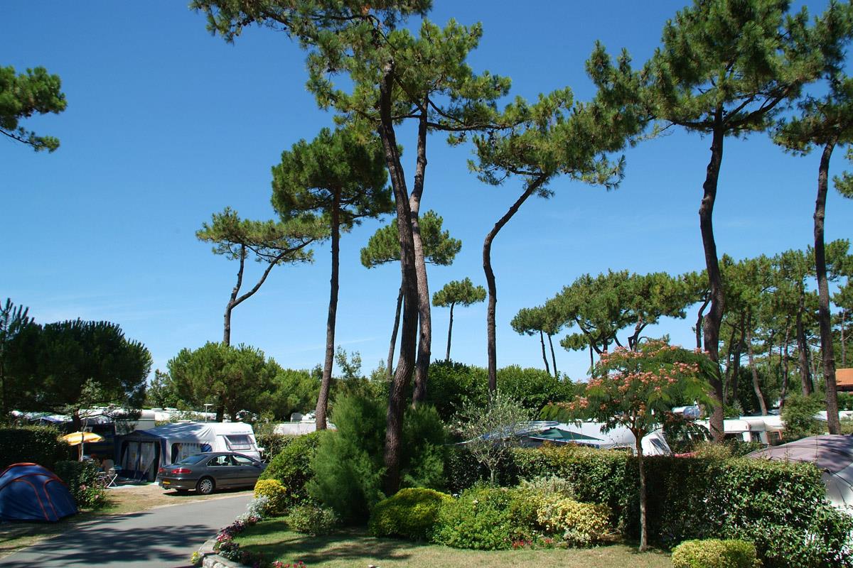Camping Bois Soleil in Saint-Georges-de-Didonne photo 4