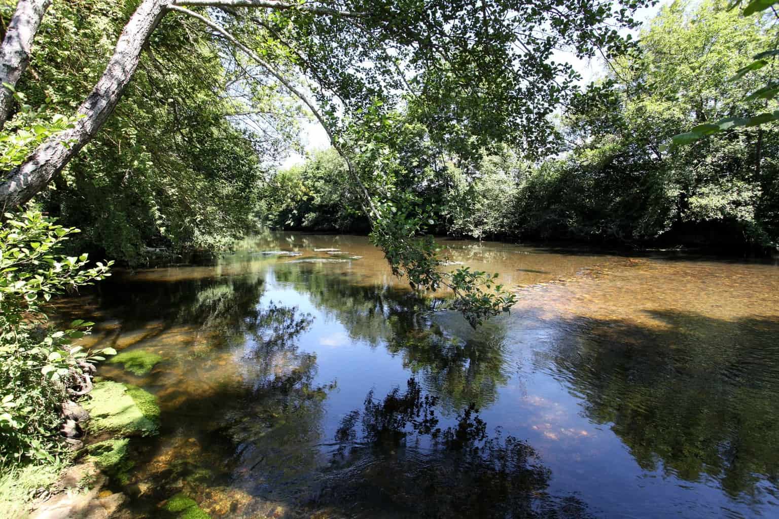 Camping Au Fil de l'Eau in Antonne-et-Trigonant photo 2