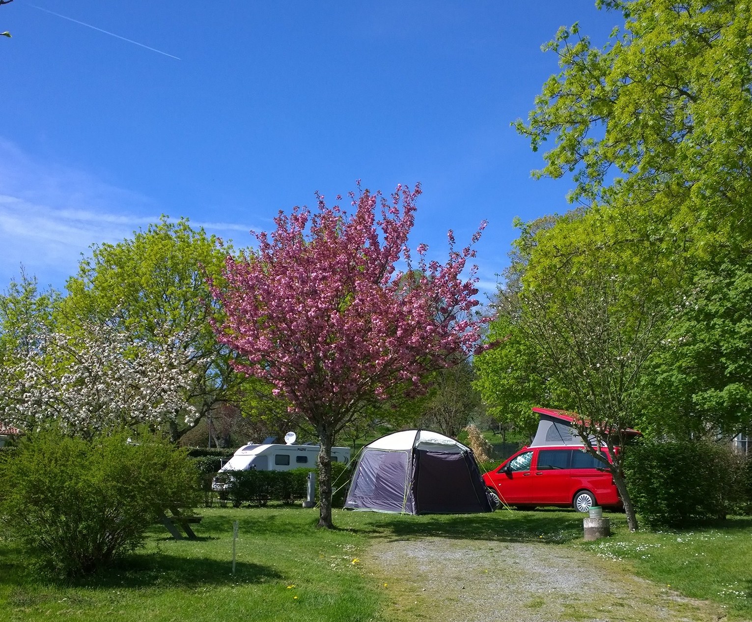 Camping De La Gartempe in Châteauponsac, Nouvelle-Aquitaine, France photo 2