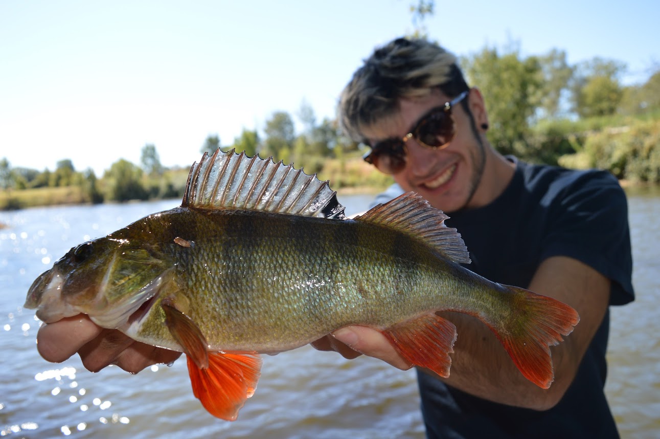 Camping Etang Du Camp in Sénergues photo 2