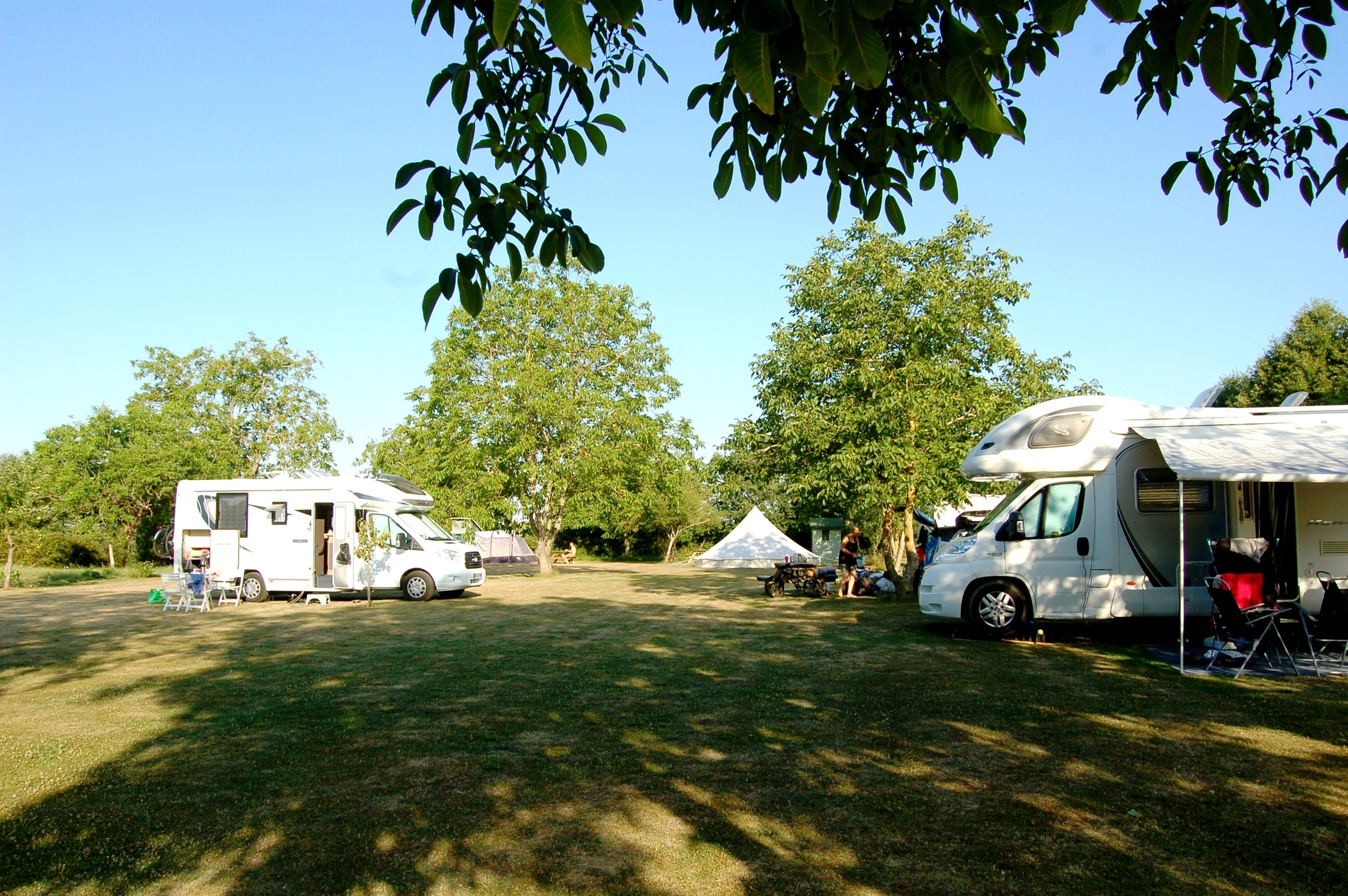 Camping La Forêt De Tessé in La Forêt-de-Tessé photo 4
