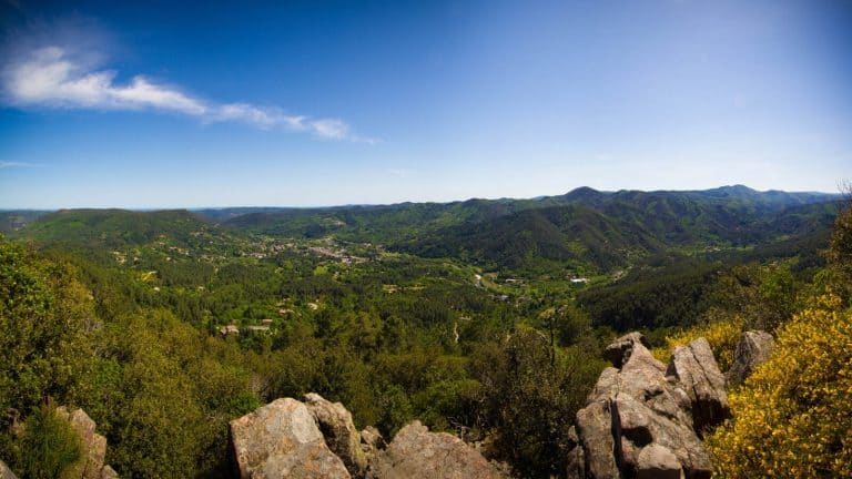 Camping Bivouac Nature 768x432