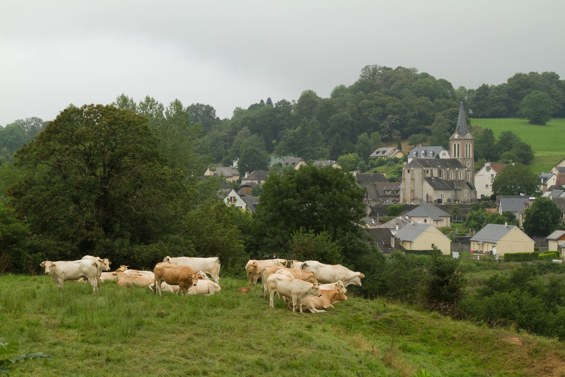 Camping L'Anjou in Montesquiou, Occitania, France photo 5