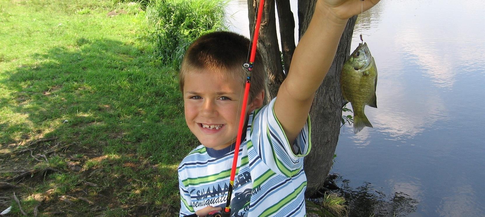 Camping Le Domaine Du Buisson in Louvemont photo 2