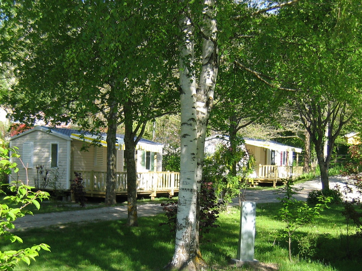 Camping Les Prés in Veynes, Provence-Alpes-Côte d'Azur, France photo 3