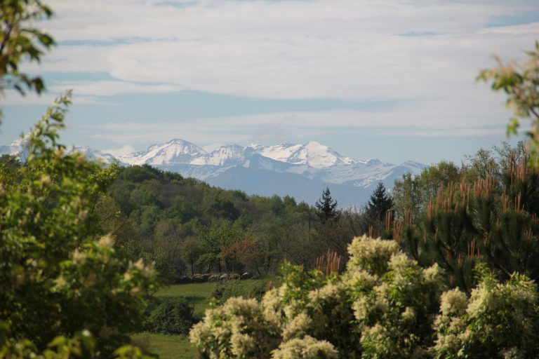 Camping Pré Fixe  768x512