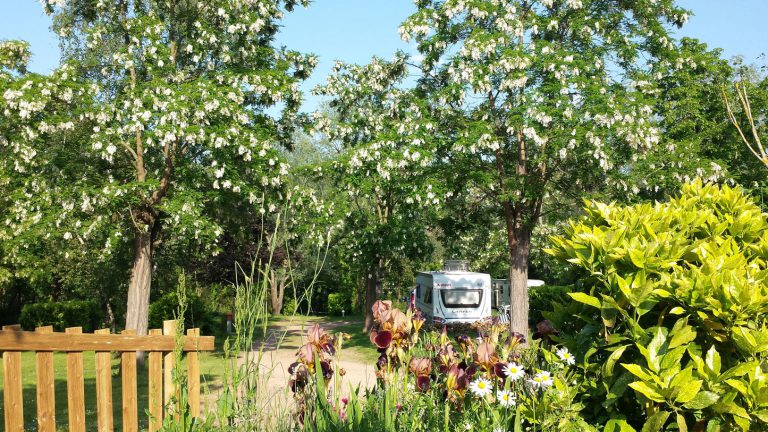 Camping l Oree du Lac staanplaatsen 768x432