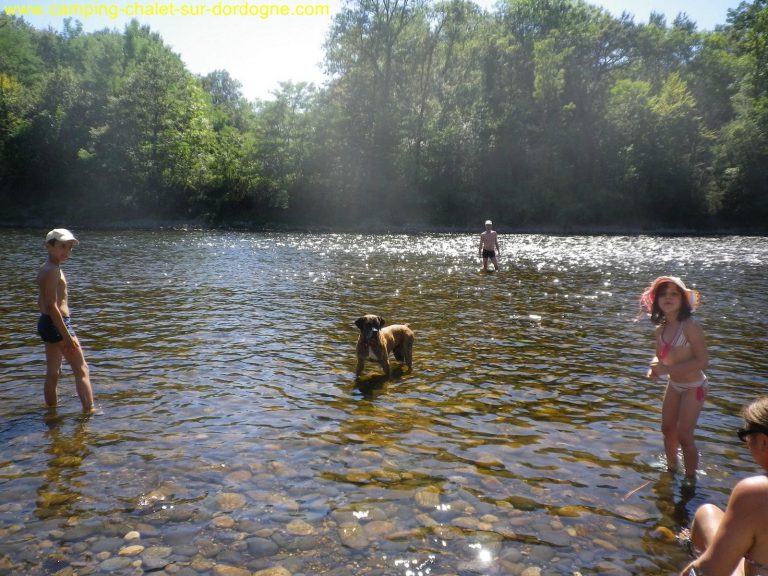 Camping Les Chalets Sur La Dordogne kiezelstrand 768x576