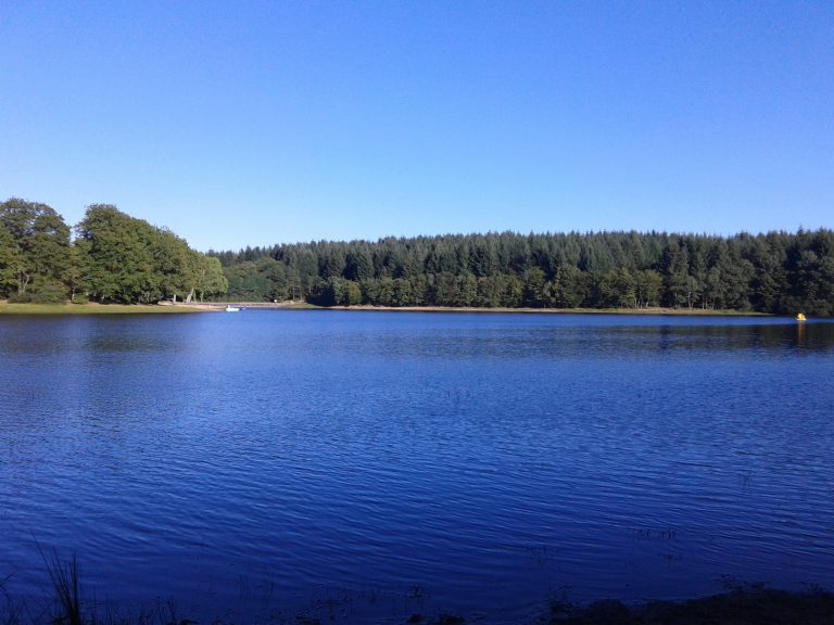 Camping de l Étang du Merle 768x576