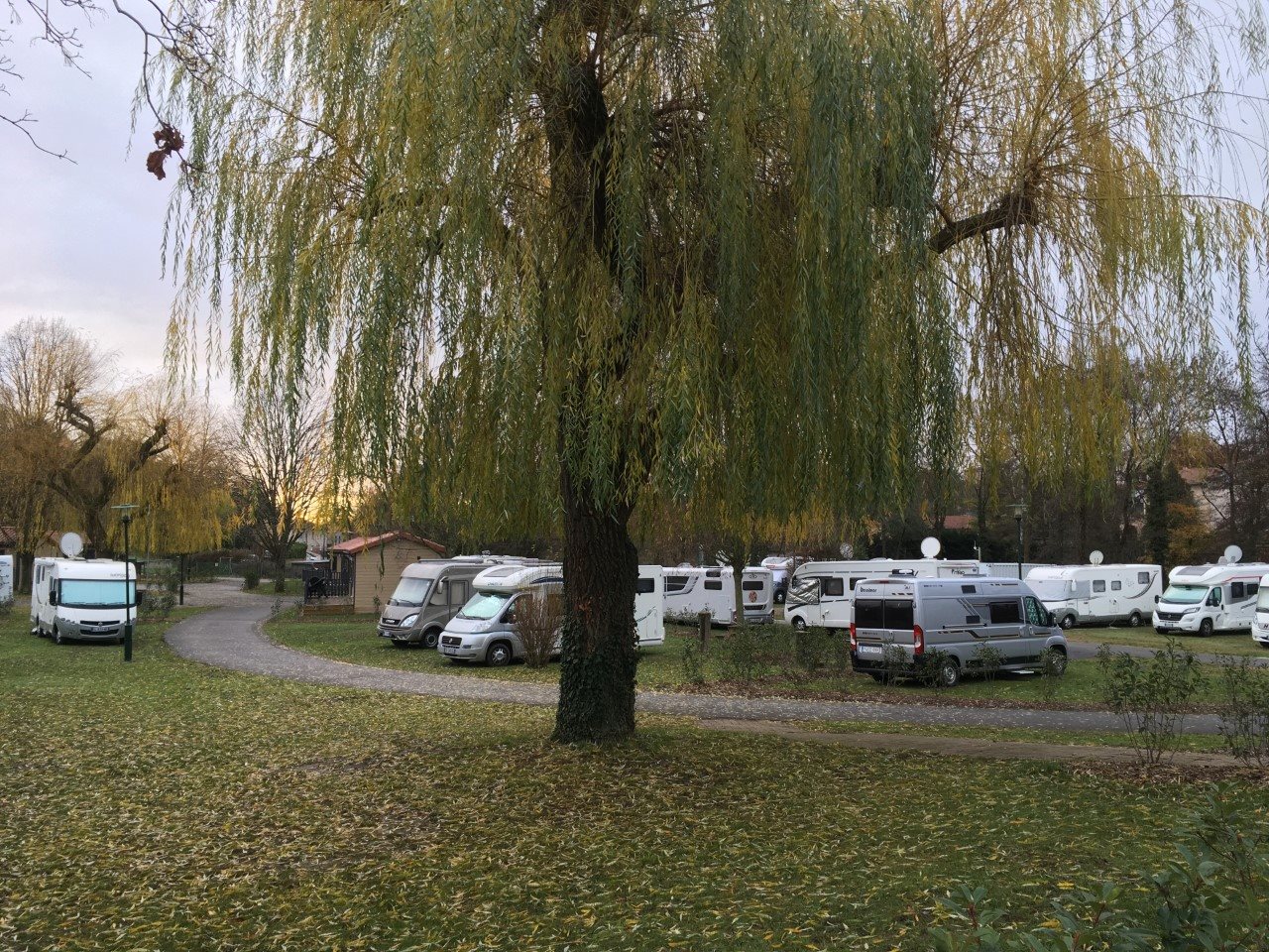 Camping de la Trillonnière in Mornant photo 4