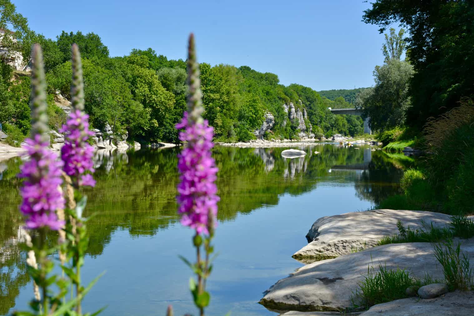 Camping Les Peupliers in Vogüé, Auvergne-Rhône-Alpes, France photo 4