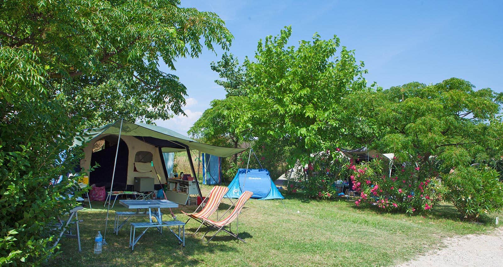 Camping Le Soleil Fruité photo 3