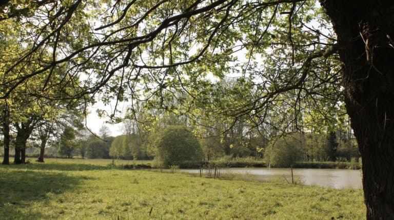 Boerencamping L Etable des Mauges en Anjou meertje 768x429