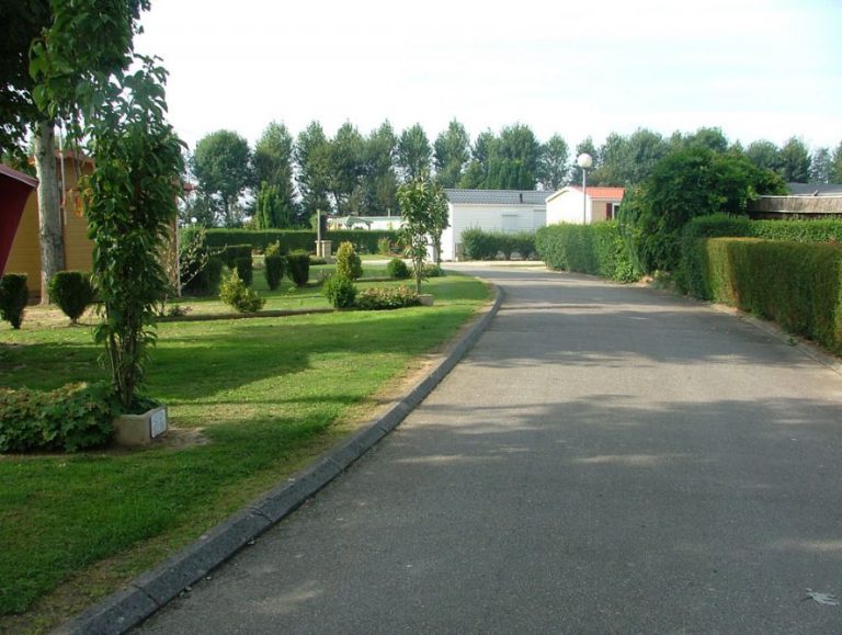 allee camping vitamin 768x579