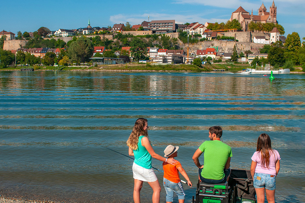 Camping L'Ile du Rhin in Biesheim photo 2