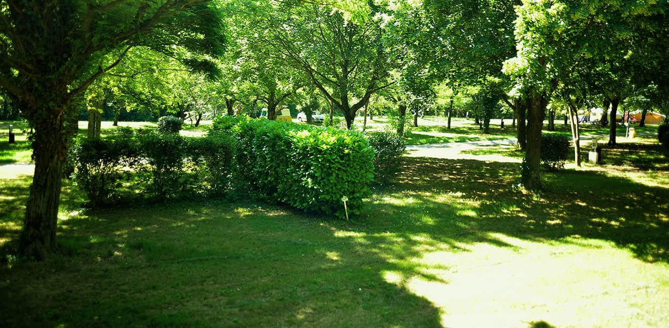 Camping Coeur d'Ardèche in Saint-Vincent-de-Durfort photo 4