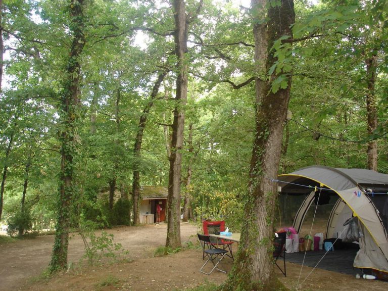 CAMPING FORET 1200x900 1 768x576
