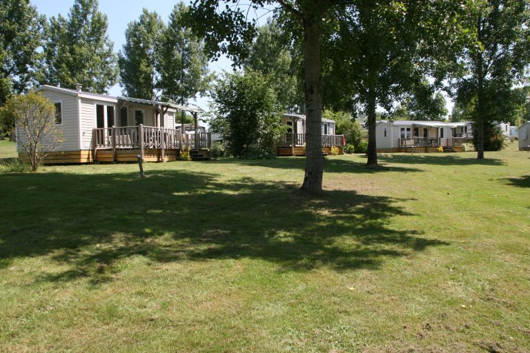 000004192781 768x512