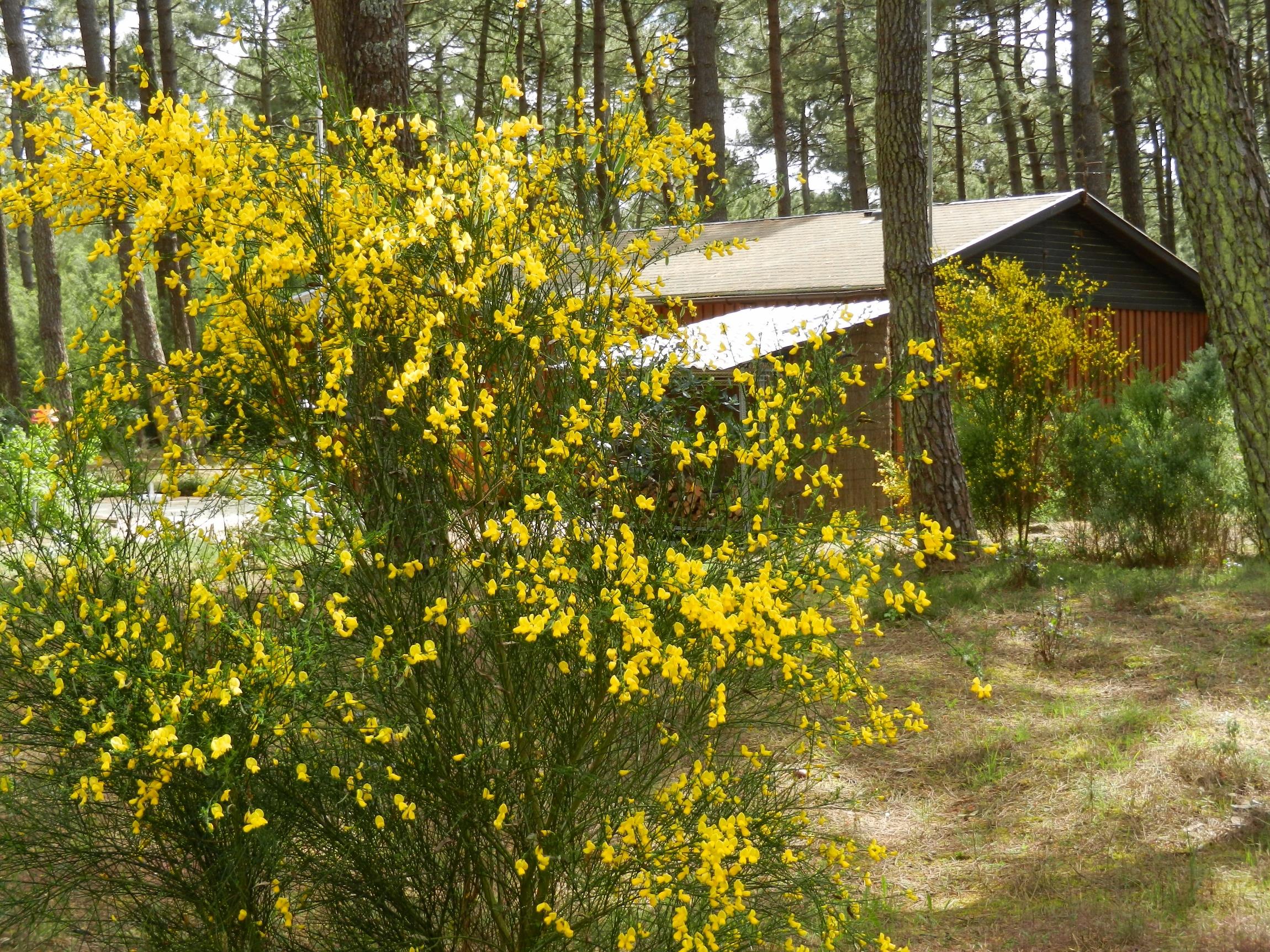 Naturist campsite Euronat Village Naturiste in Grayan-et-l'Hôpital photo 4