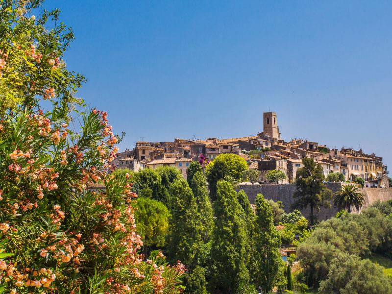 Camping Sites et Paysages Les Pinèdes in La Colle-sur-Loup, Provence-Alpes-Côte d'Azur, France photo 3