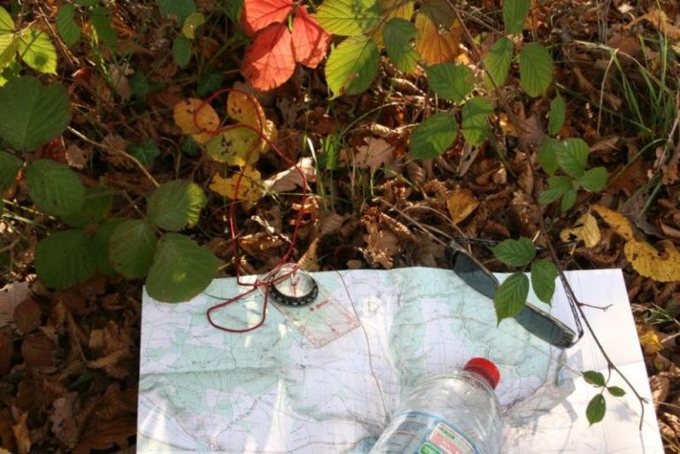 000005774121 768x513